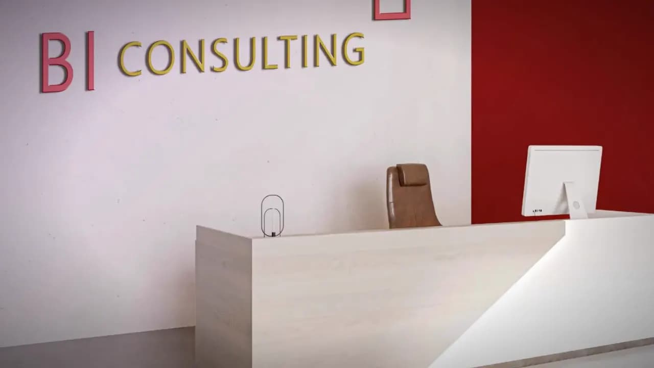 BI Consulting campaign by Sudace