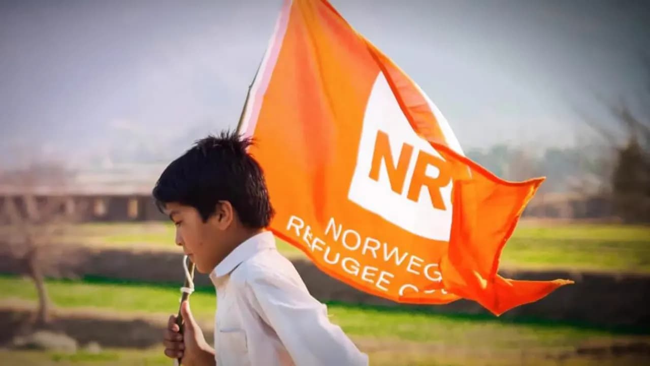 Norwegian Refugee Council campaign by Sudace